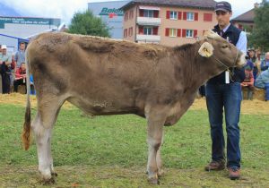 Altdorf13 101